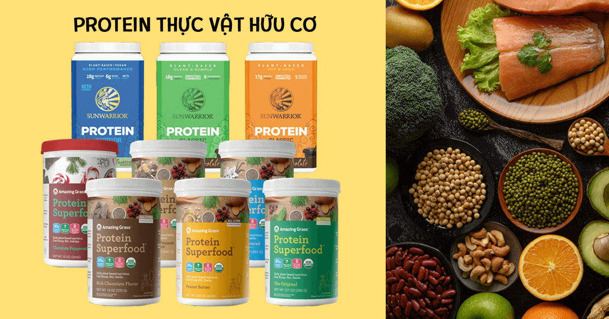 Bột Protein thực vật - Những điều cần biết về bột Protein thực vật