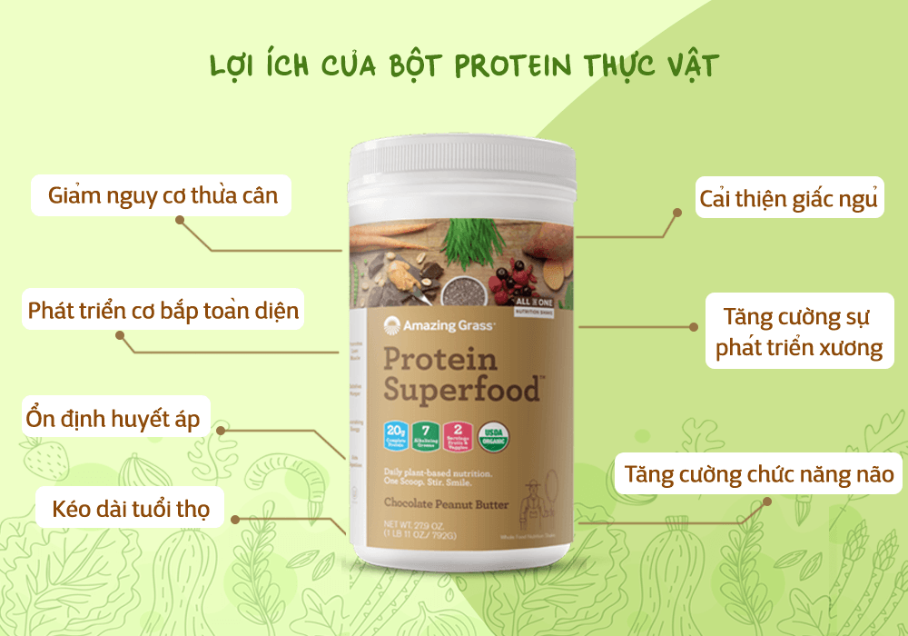 Lợi ích của bột protein thực vật